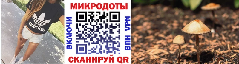 купить наркоту  Сатка  Галлюциногенные грибы GOLDEN TEACHER 